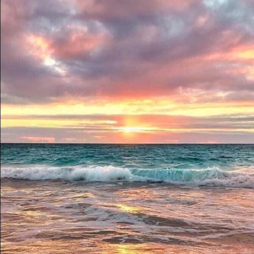 Meet your Posher, Chelsea